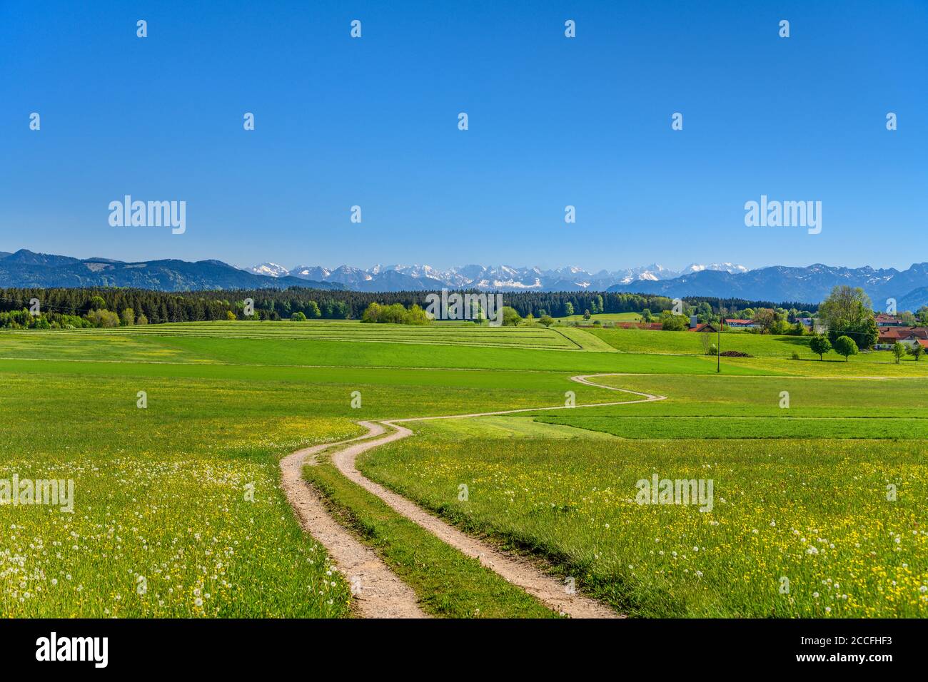 Germania, Baviera, alta Baviera, Tölzer Land, Dietramszell, Baiernrain distretto, paesaggio primaverile contro catena alpina Foto Stock