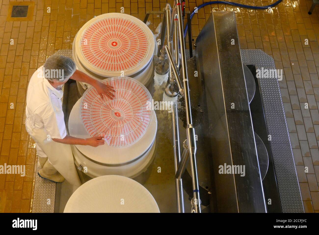 Käser appone l'etichetta Emmental sulla pressa per formaggio Affoltern ie, Svizzera Foto Stock