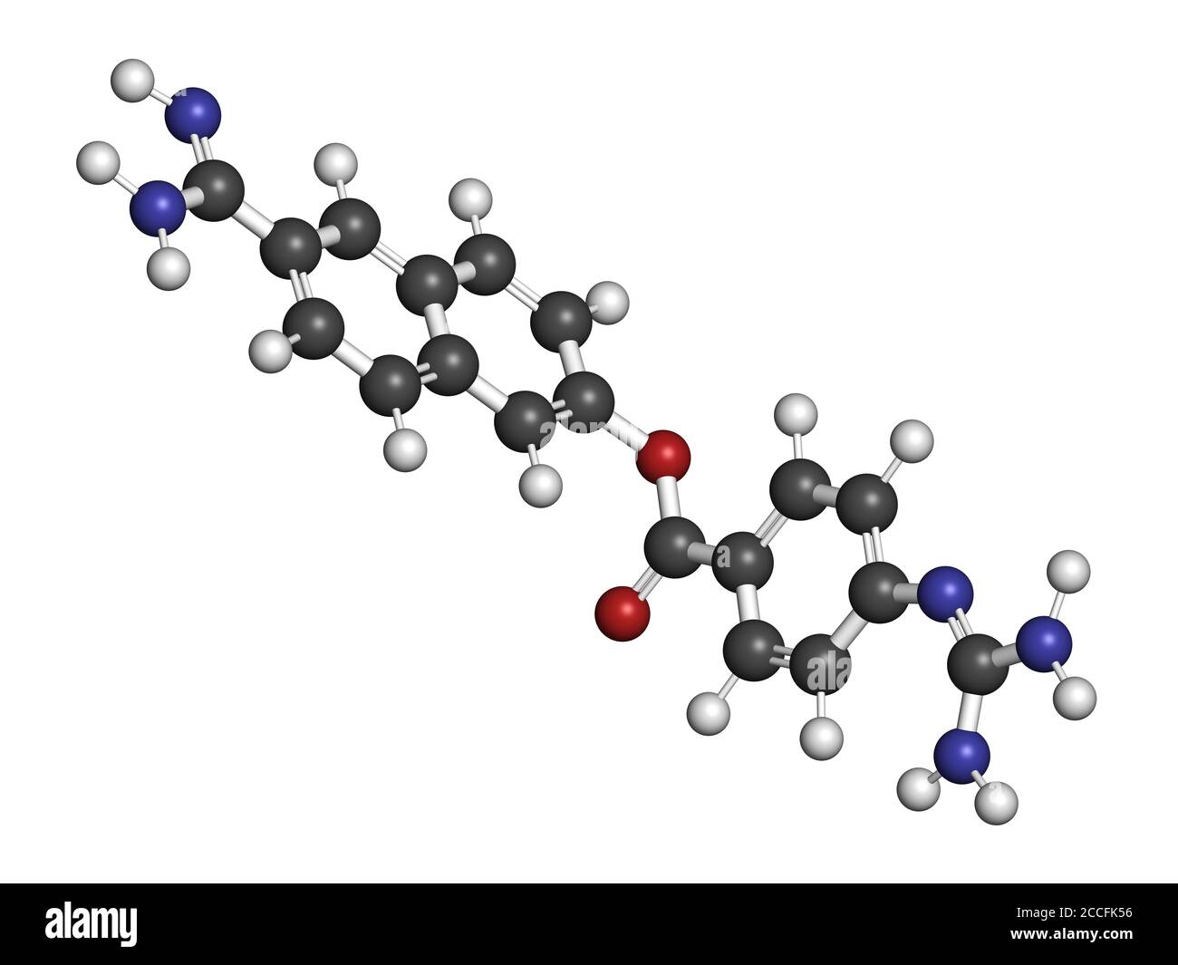 Molecola di farmaco di Nafamostat (inibitore della serina proteasi). Rendering 3D. Gli atomi sono rappresentati come sfere con codifica a colori convenzionale: Idrogeno (bianco), Foto Stock
