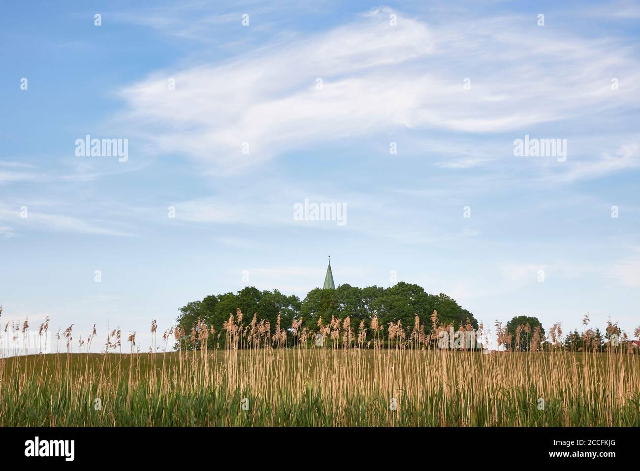 Germania, Meclemburgo-Pomerania occidentale, Pomerania nord occidentale, Recknitz, Pantlitz, torre della chiesa Foto Stock