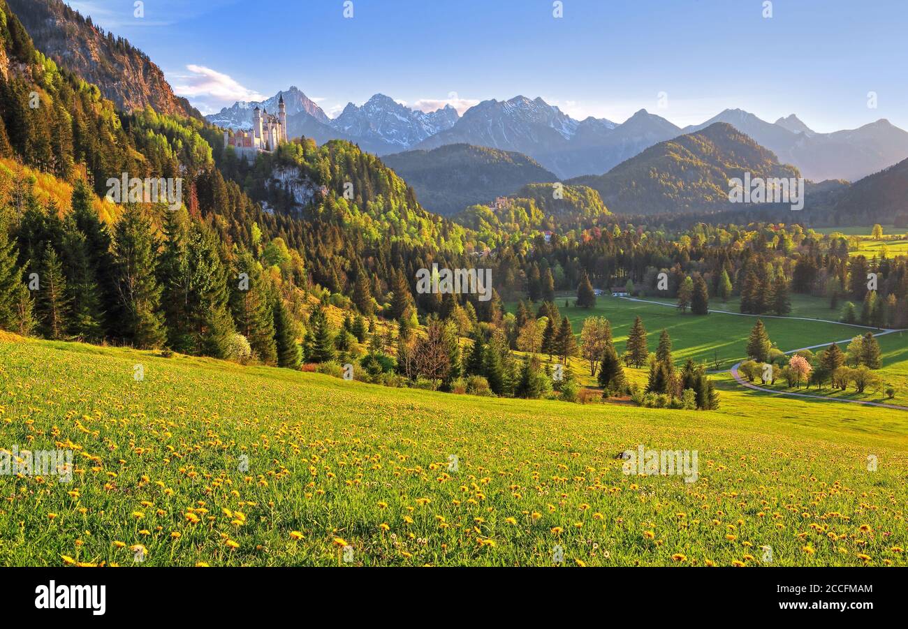 Paesaggio primaverile con il Castello di Neuschwanstein contro i Monti Tannheim, Hohenschwangau, strada Romantica, Ostallgäu, Allgäu, Svabia, Baviera, Germania Foto Stock