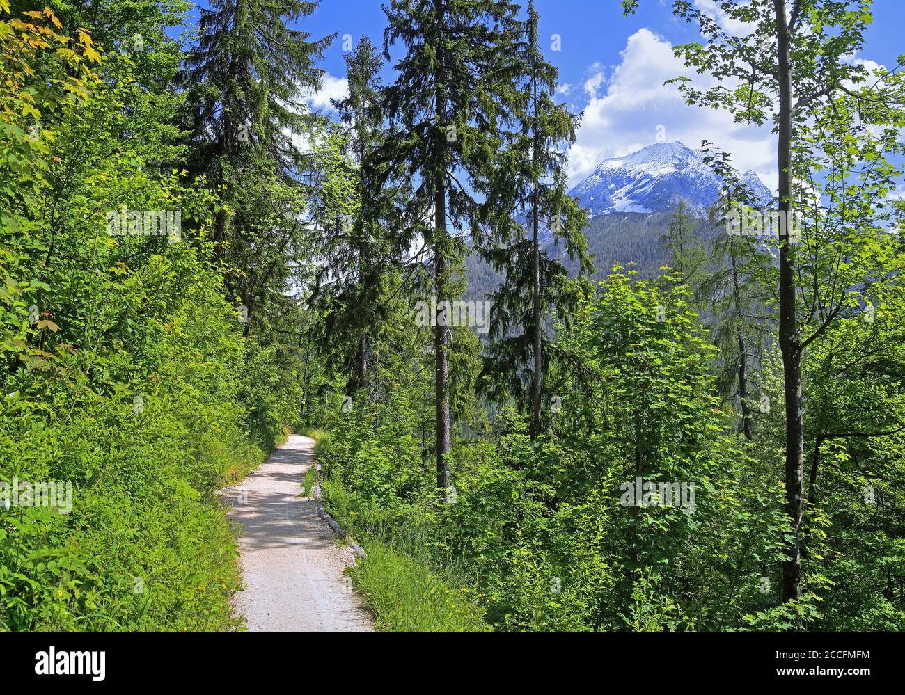 Linea di condutture saline contro Watzmann (2713 m), Ramsau bei Berchtesgaden, Berchtesgadener Land, alta Baviera, Baviera, Germania Foto Stock