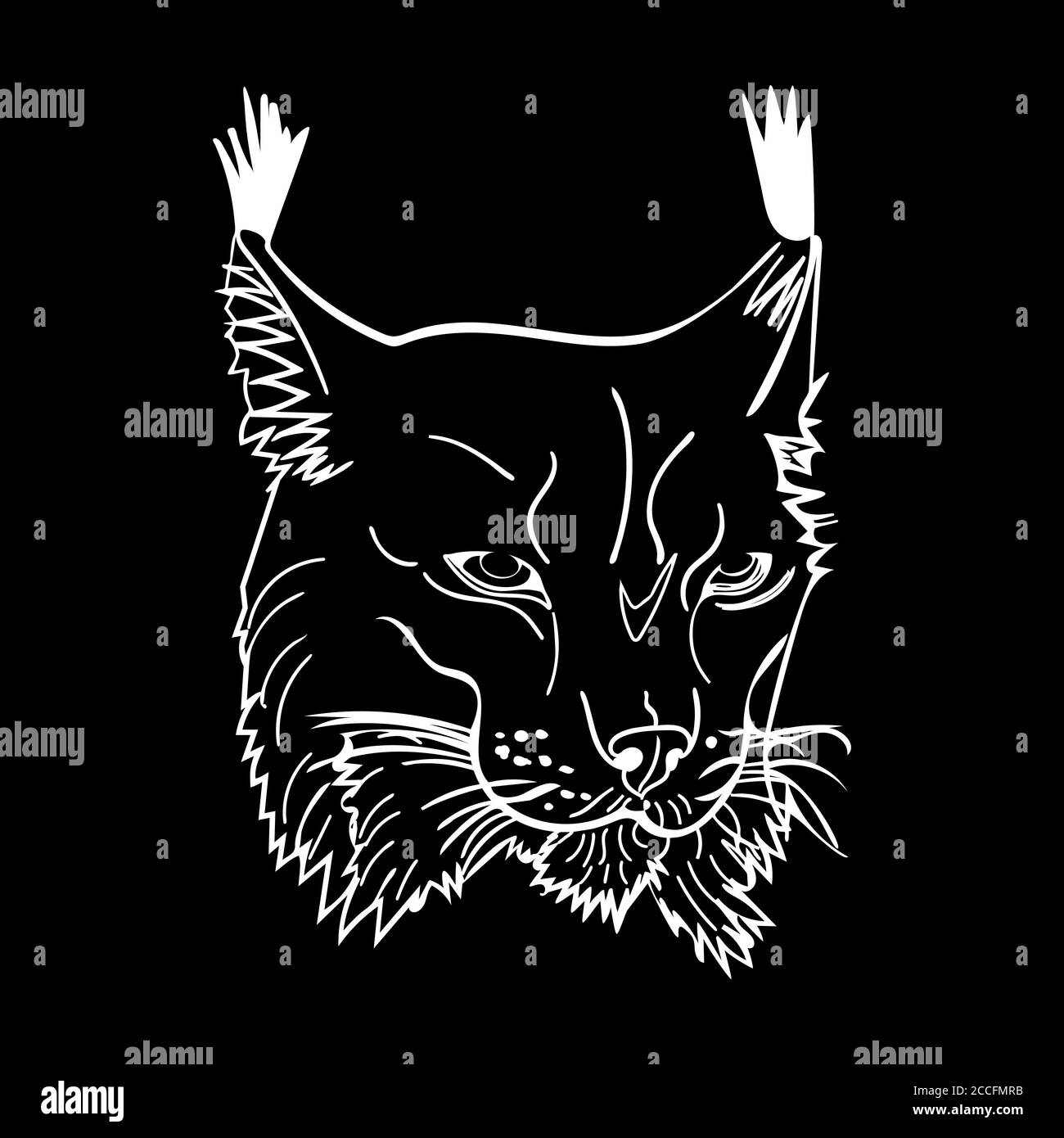 Ritratto in stile di schizzo della lince isolata su sfondo nero. Icona di schizzo bianco e nero di bob selvaggio. Wildcat guardando dritto in avanti. Vettore stock Illustrazione Vettoriale