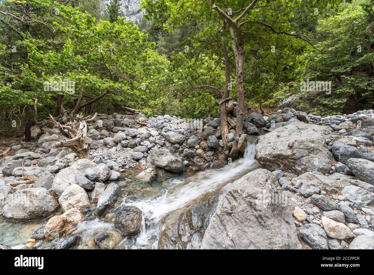 Corso di fiume durante la discesa sulla Gola di Samaria escursione, Creta occidentale, Grecia Foto Stock
