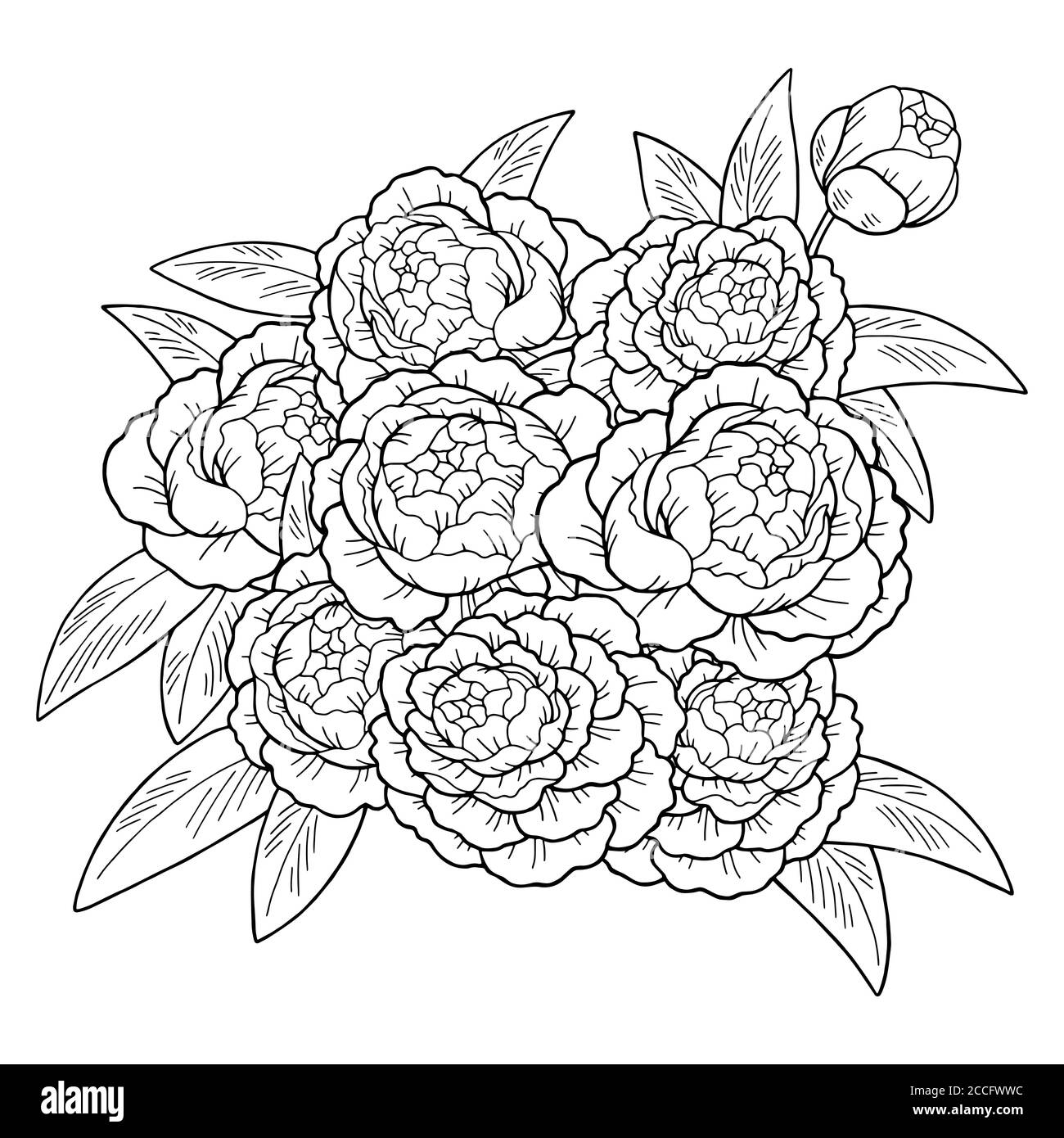 Peony flower graphic sketch nero bianco isolato bouquet sfondo illustrazione vettore Illustrazione Vettoriale
