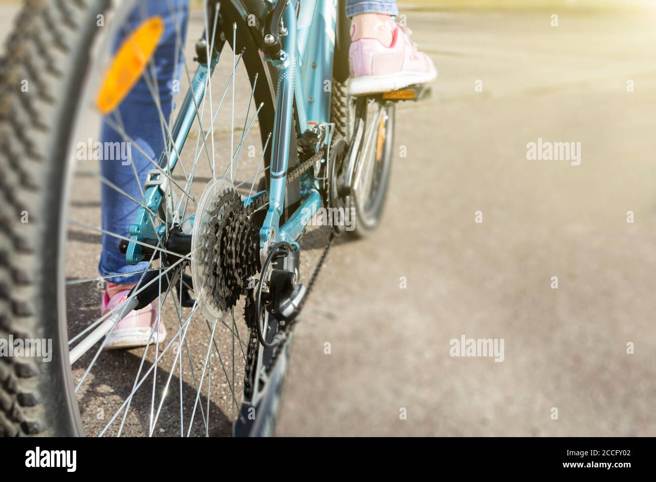 Primo piano di un meccanismo di ingranaggi di bicicletta e di una catena sulla ruota posteriore di mountain bike. Foto Stock