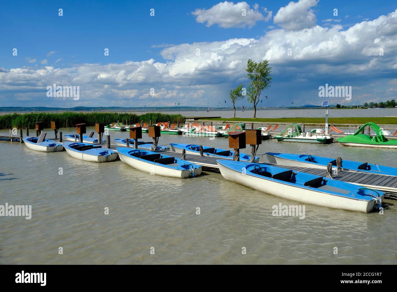 Il Neusiedler See a Podersdorf am See, Parco Nazionale Neusiedler See, Burgenland, Austria Foto Stock