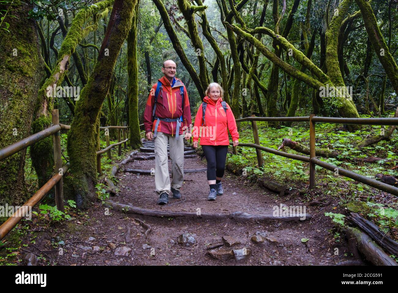 Coppia escursioni sul sentiero forestale nella foresta di alloro, Laguna Grande, Garajonay Parco Nazionale, la Gomera, Isole Canarie, Spagna Foto Stock