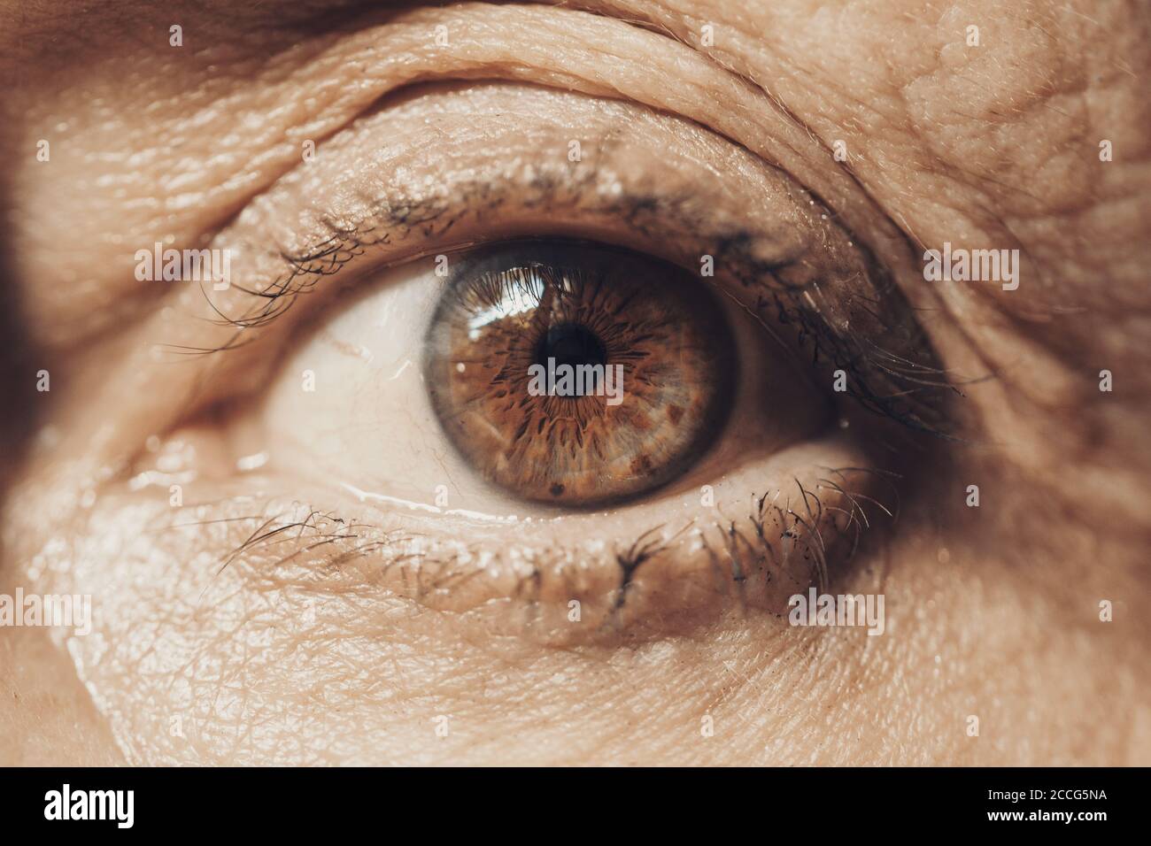 Macro Eye di femmina Senior vista frontale Foto Stock