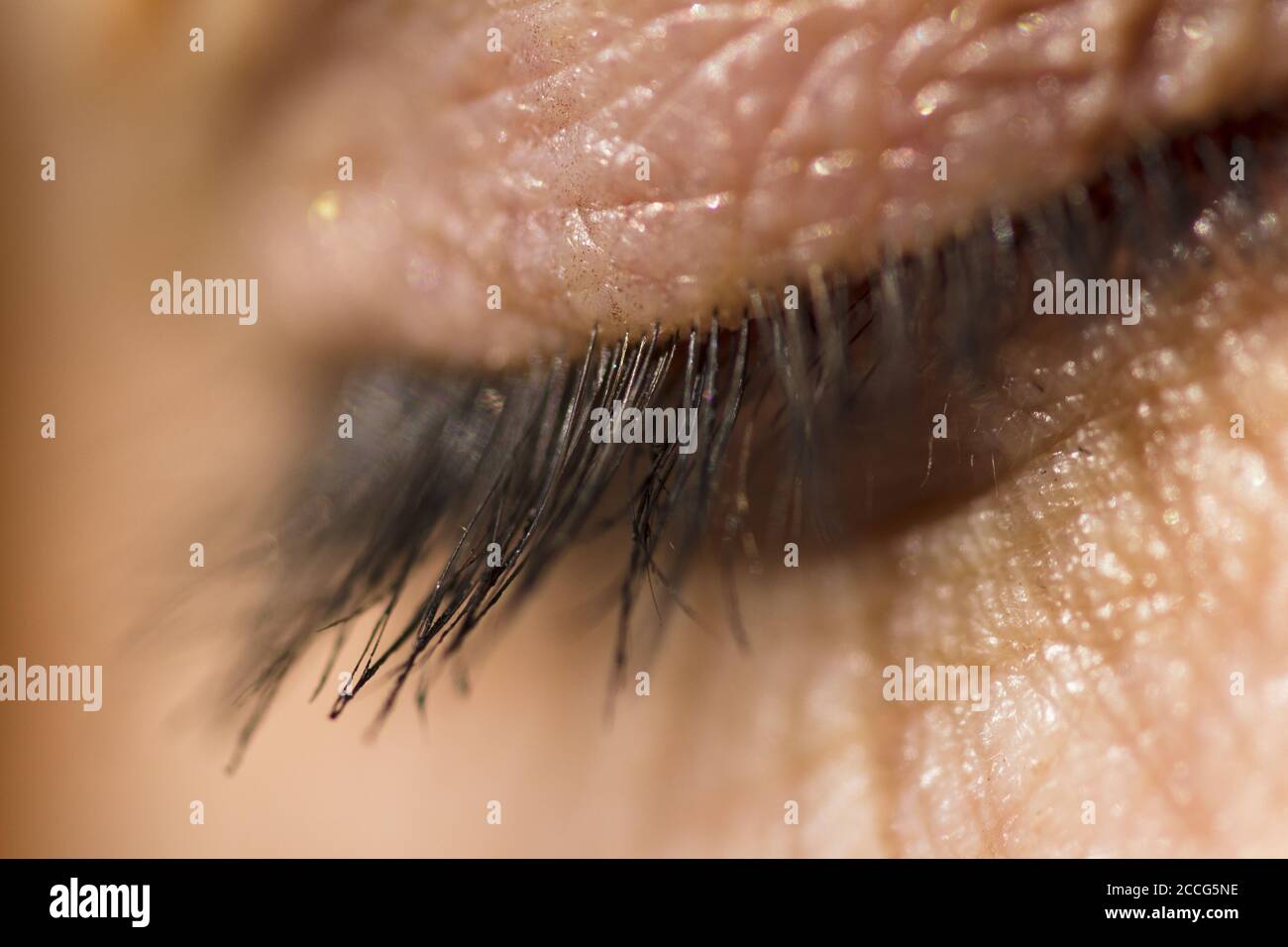 Macro shot della palpebra umana e ciglia in. Luce del giorno Foto Stock