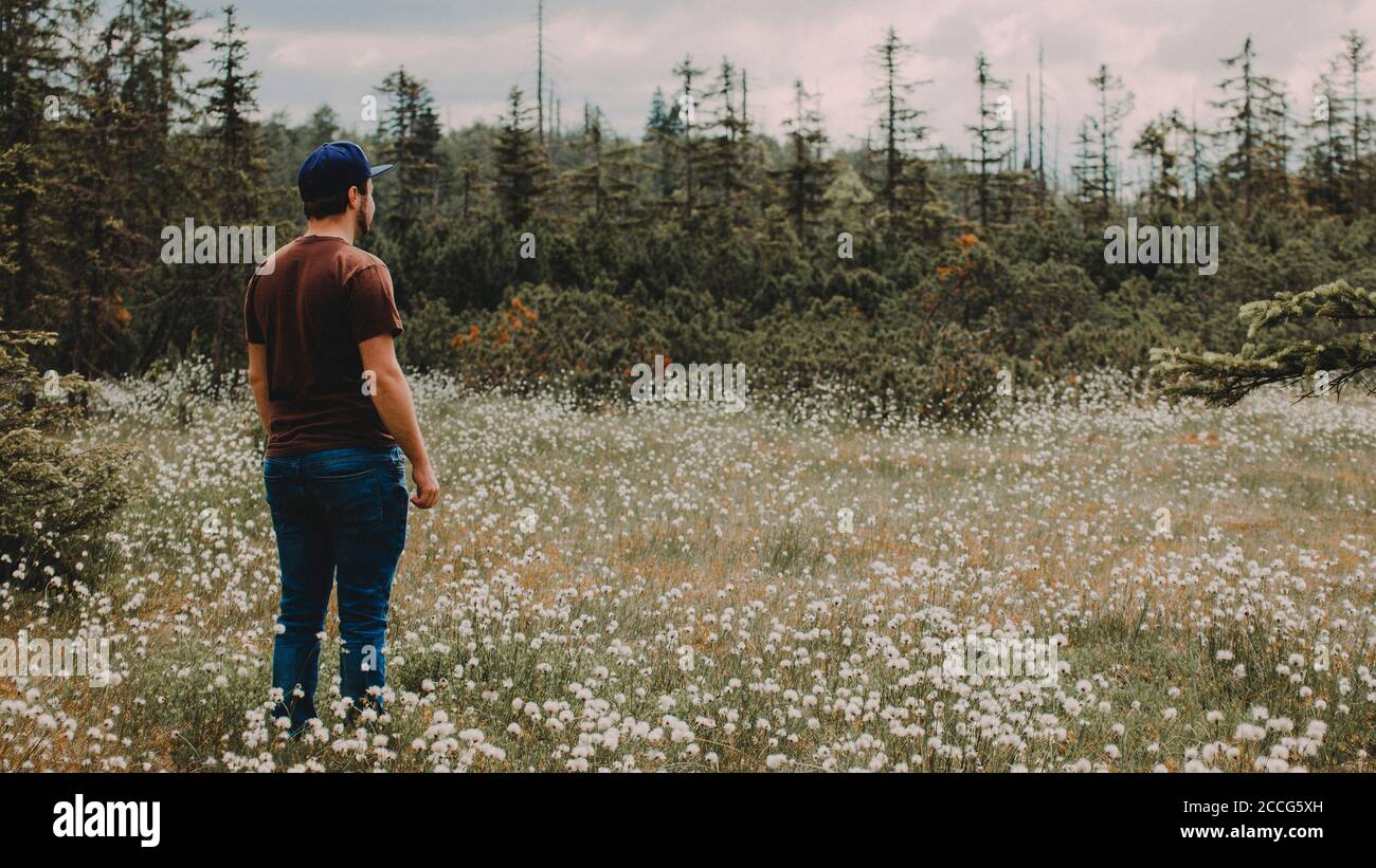 Europa, Germania, Baviera, Foresta Bavarese, Parco Nazionale, uomo in piedi in fiore campo di cotone gras Foto Stock