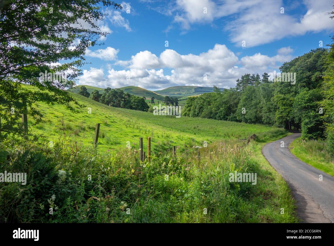 Tortuosa strada di campagna in bella verde paesaggio rurale in estate Foto Stock