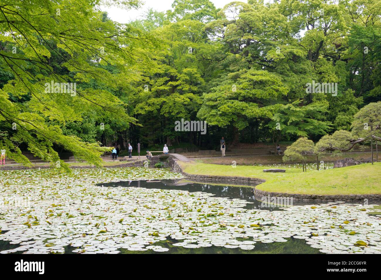 Tokyo, Giappone - Giardino Koishikawa Korakuen a Tokyo, Giappone. Foto Stock