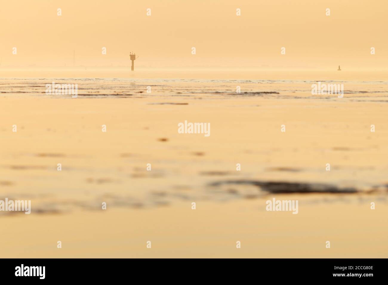 Europa, Germania, bassa Sassonia, Otterndorf. La luce dorata della sera risplende sulle pianure di fango di fronte a Otterndorf e all'Elba esterna. Sullo sfondo, Foto Stock