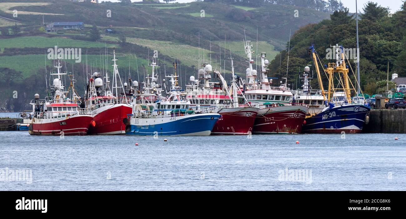 Pesca Trawler Fleet Keelbeg Pier Union Hall West Cork Irlanda Foto Stock