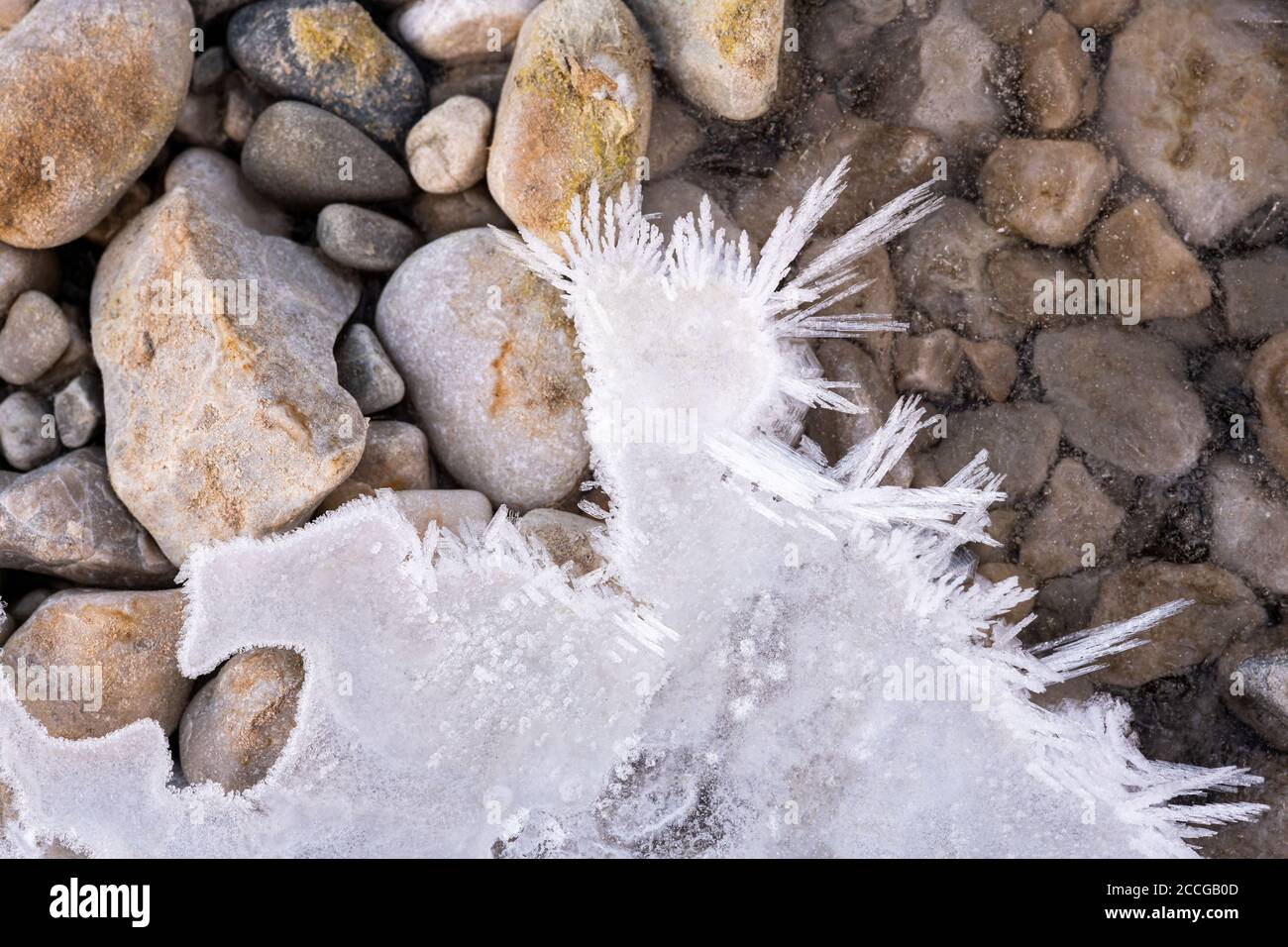Cristalli di ghiaccio nel letto Isar stream con forme diverse e strutture Foto Stock