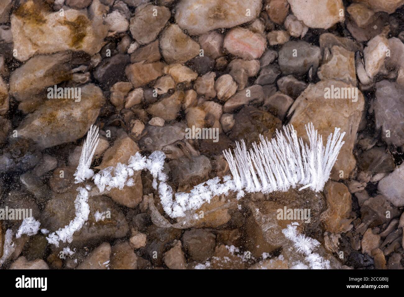 Cristalli di ghiaccio nel letto Isar stream con forme diverse e strutture Foto Stock