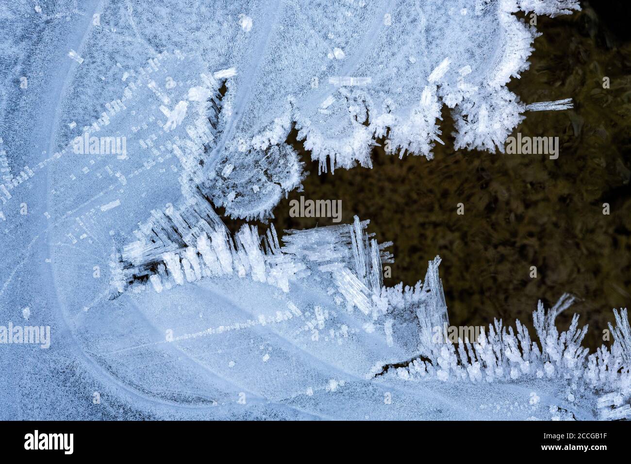 Cristalli di ghiaccio nel letto Isar stream con forme diverse e strutture Foto Stock