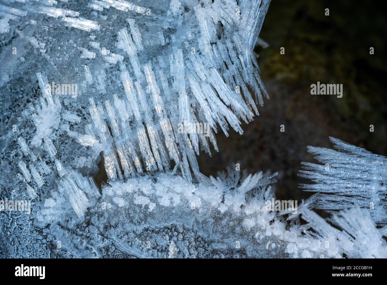 Cristalli di ghiaccio nel letto Isar stream con forme diverse e strutture Foto Stock