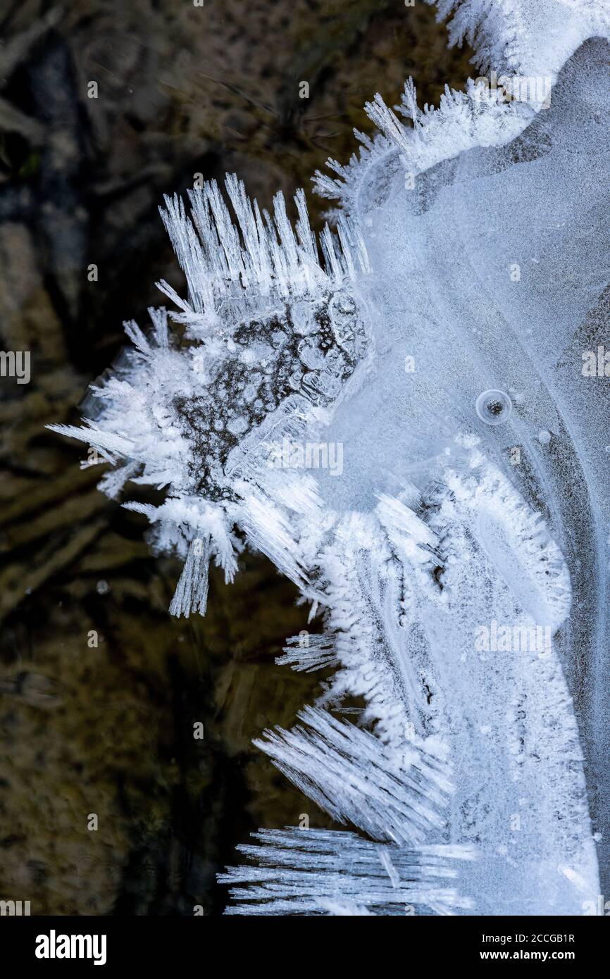 Cristalli di ghiaccio nel letto Isar stream con forme diverse e strutture Foto Stock