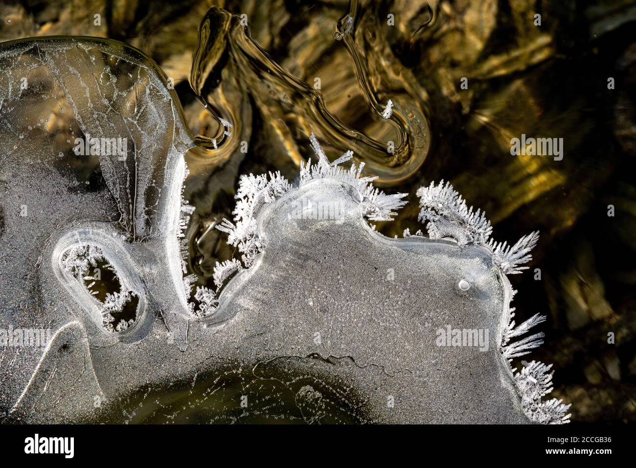 Cristalli di ghiaccio nel letto Isar stream con forme diverse e strutture Foto Stock