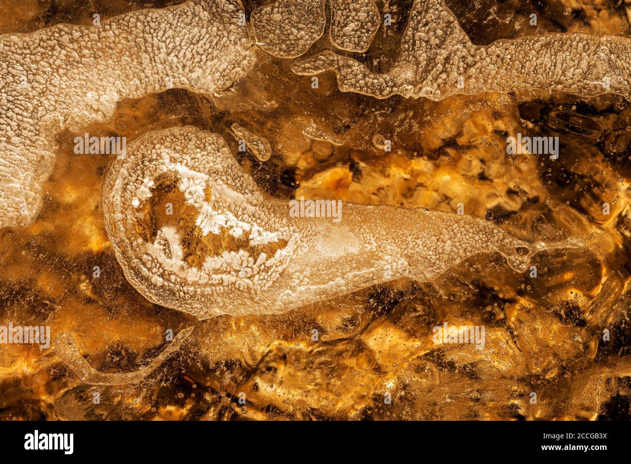 Cristalli di ghiaccio nel letto Isar stream con forme diverse e strutture Foto Stock