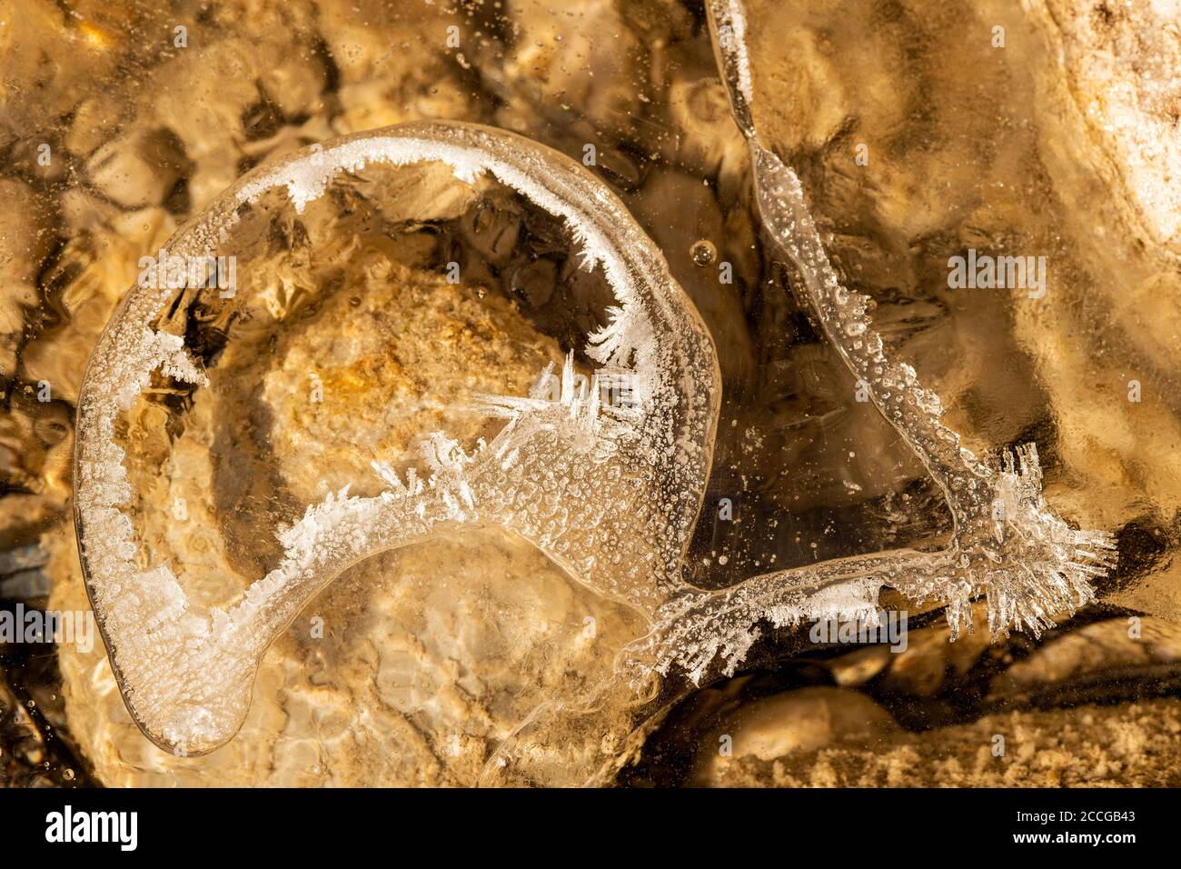 Cristalli di ghiaccio nel letto Isar stream con forme diverse e strutture Foto Stock