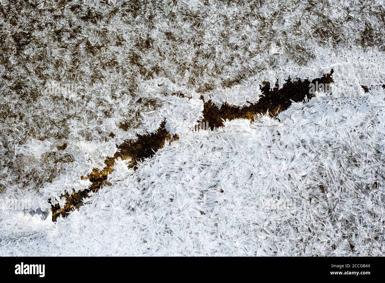 Cristalli di ghiaccio nel letto Isar stream con forme diverse e strutture Foto Stock