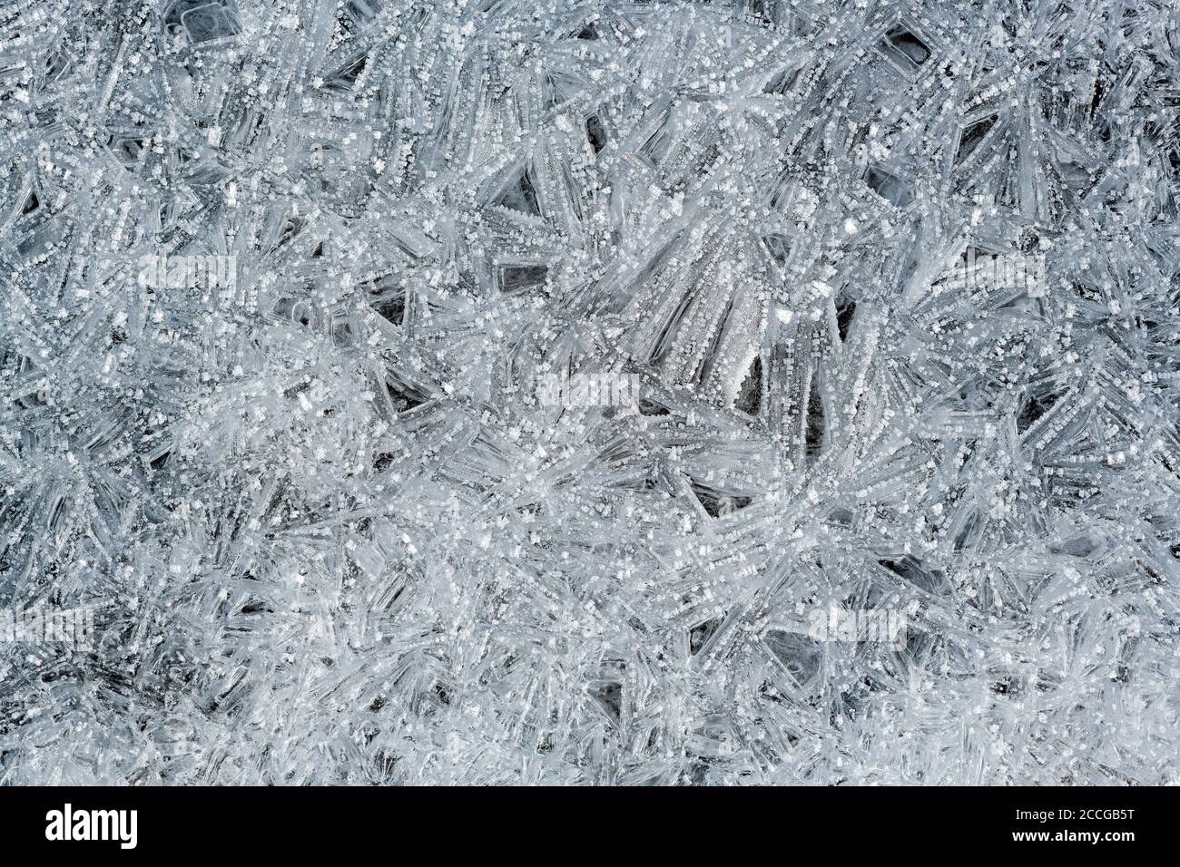 Cristalli di ghiaccio nel letto Isar stream con forme diverse e strutture Foto Stock