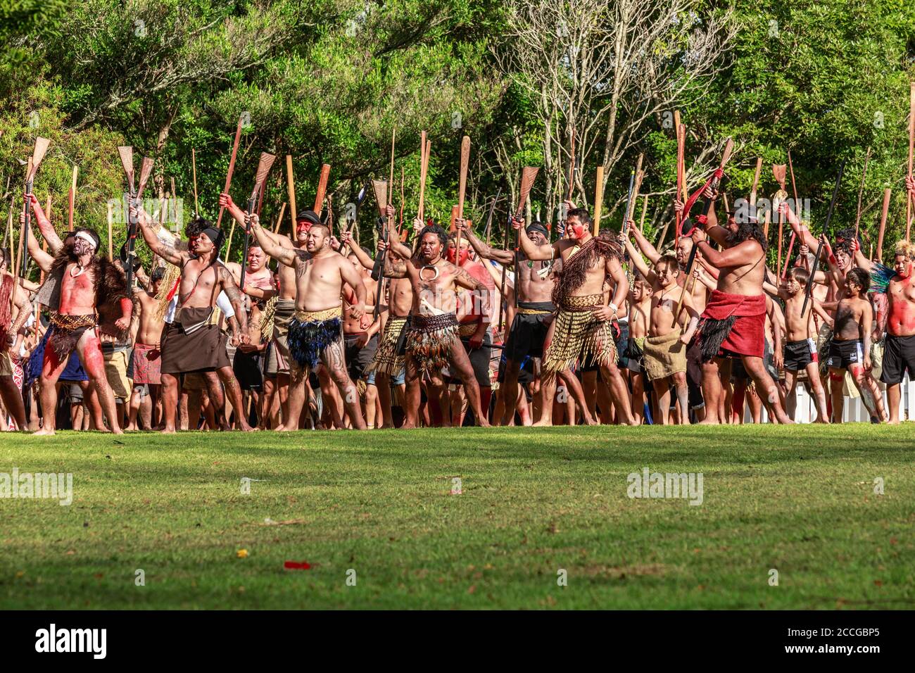 Gran gruppo di uomini Maori vestiti da guerrieri eseguono un'haka al 150° anniversario della Battaglia di Gate Pa. Tauranga, NZ, 4/29/2014 Foto Stock