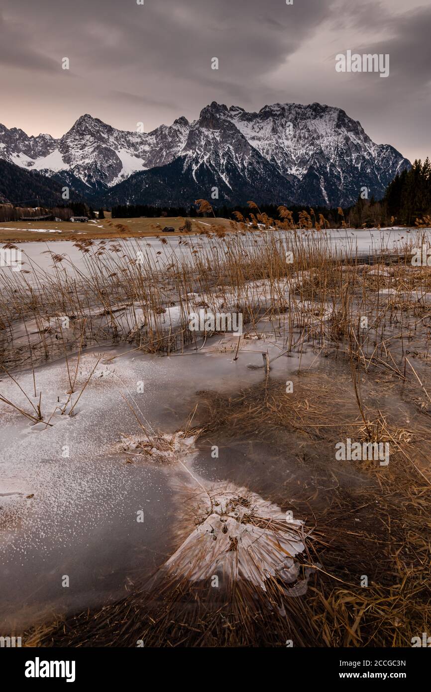 Lo Schmalensee vicino a Mittenwald in inverno, ghiaccio e canne fiancheggiano la riva. Foto Stock