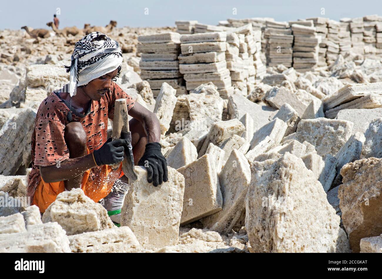 L'uomo locale taglia i blocchi di sale in una cava di sale a Assale Salt Lake, Danakil Depression, Afar Region, Etiopia Foto Stock