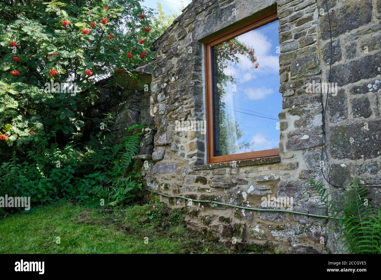 Completato il rimointing al di fuori della parte nord di prospetto di un cottage tradizionale in pietra di Dales. Foto Stock