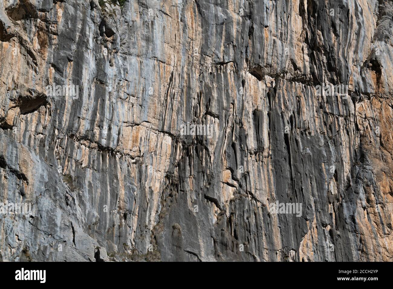 Immagine ravvicinata della superficie rocciosa con un modello lineare pesante e. colore a due tonalità Foto Stock