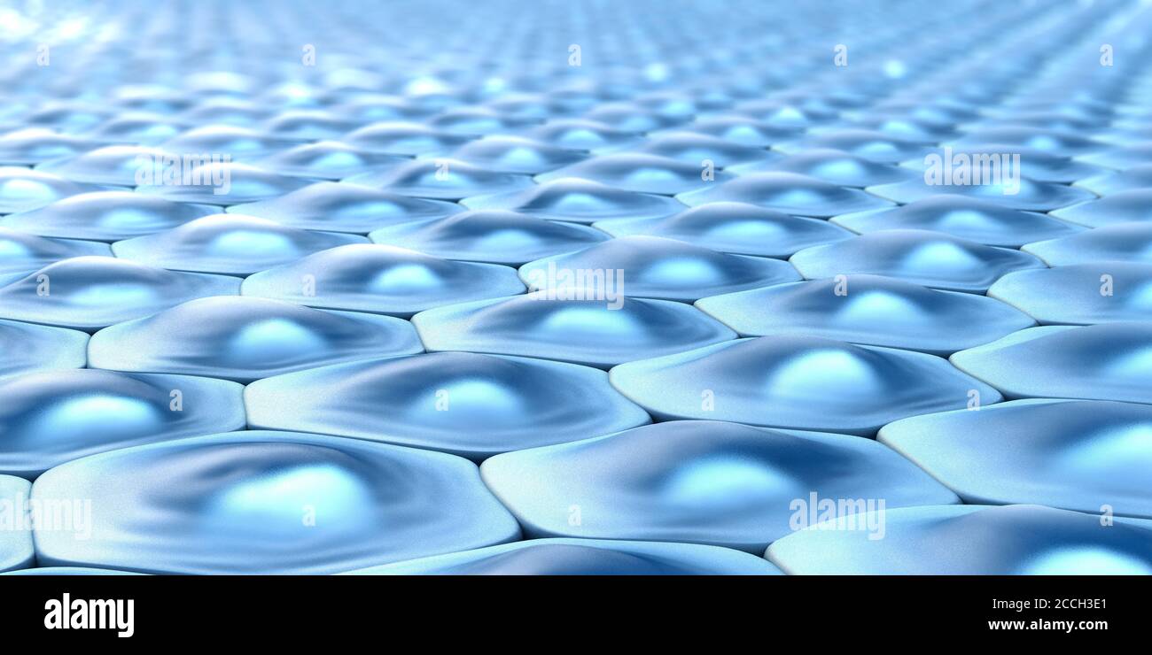 Vista laterale di un modello di cella di celle esagonali con nuclei - illustrazione 3d Foto Stock