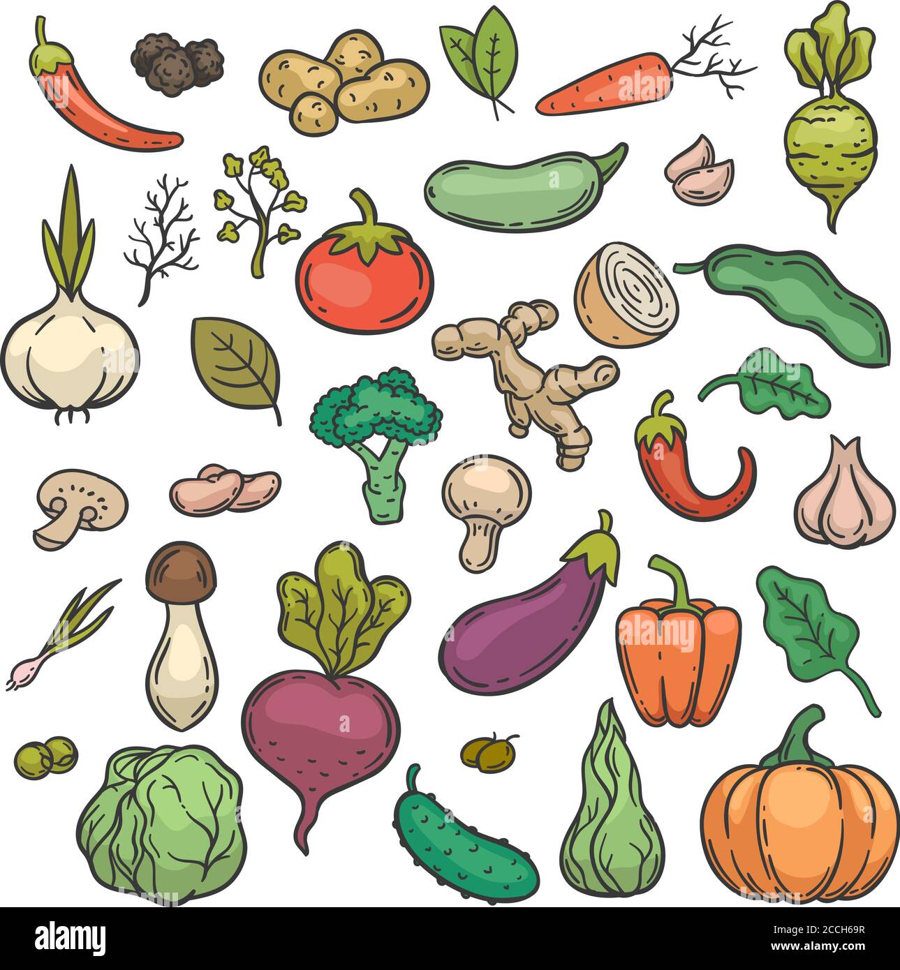 Disegnare gli ortaggi. Colore disegnato a mano prodotto vegetariano vegetale dieta sana cetriolo, broccoli e cavolo, carota, patate doodle insieme vettore Illustrazione Vettoriale