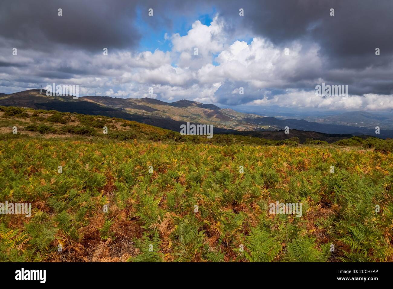 Sistelo, Portogallo: Vista panoramica delle montagne (famoso paesaggio in stile Tibet) - Escursionismo, natura, puro, libero, selvaggio Foto Stock