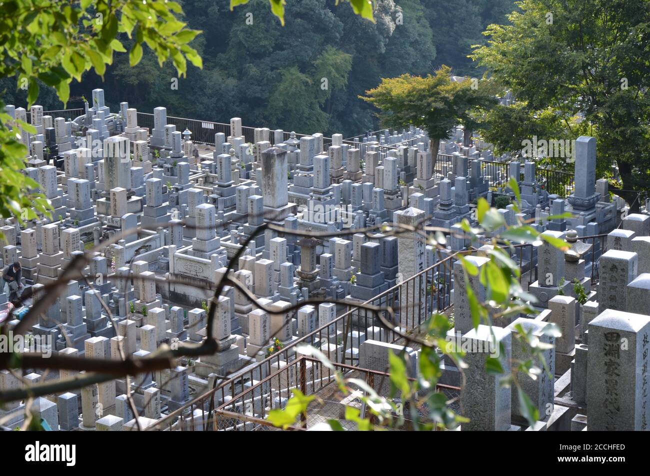Tombe storiche presso il cimitero di Nishi Otani nel distretto di Higashiyama, Kyoto, Giappone. Foto Stock