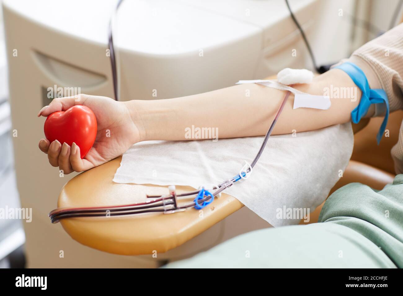 Donatore di sangue con catetere e cerotti che tengono il cuore giocattolo e. donare sangue in laboratorio Foto Stock