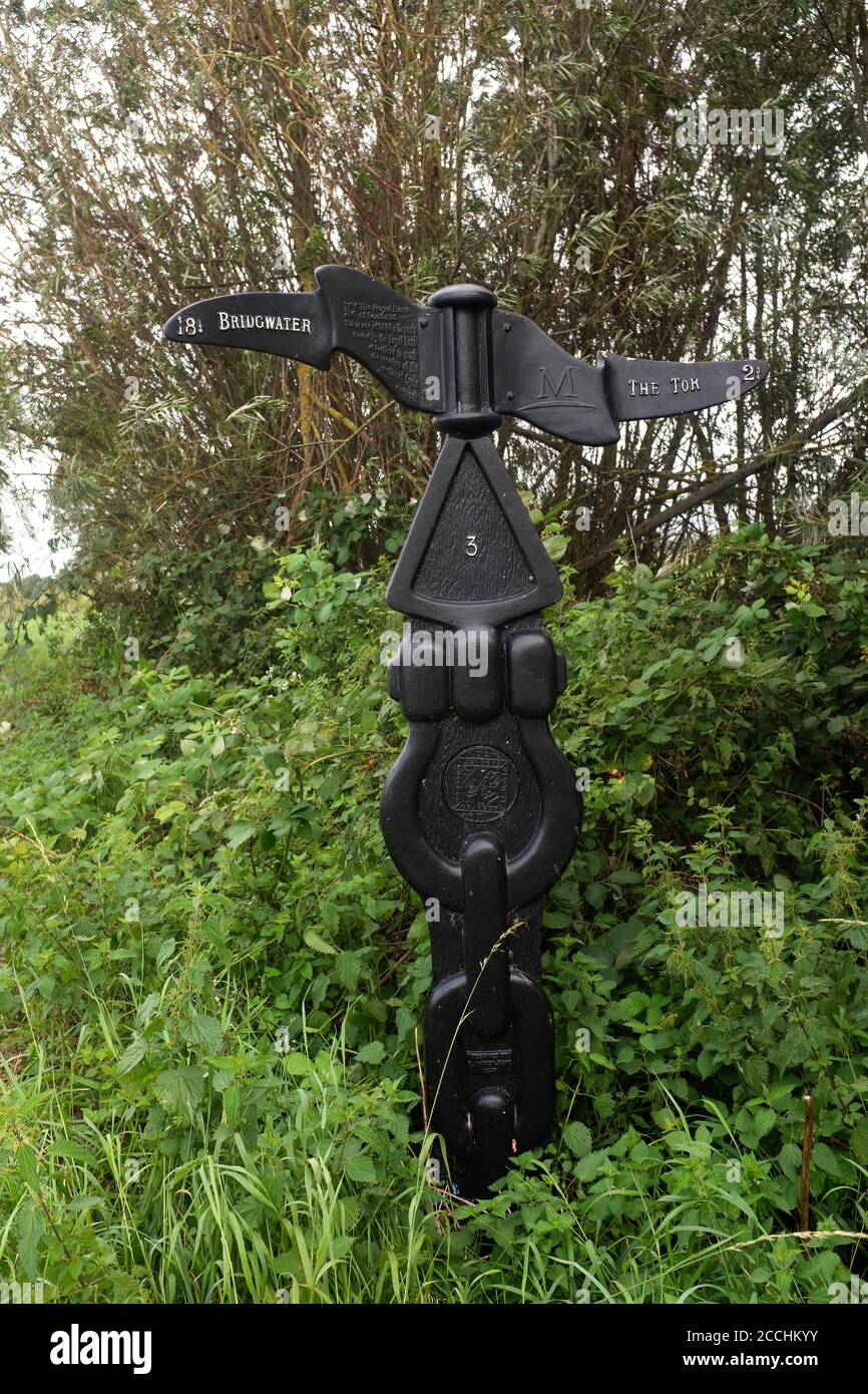 Agosto 2020 - rete ciclabile nazionale 3, la passeggiata del salice a Glastonbury, Somerset, Regno Unito Foto Stock