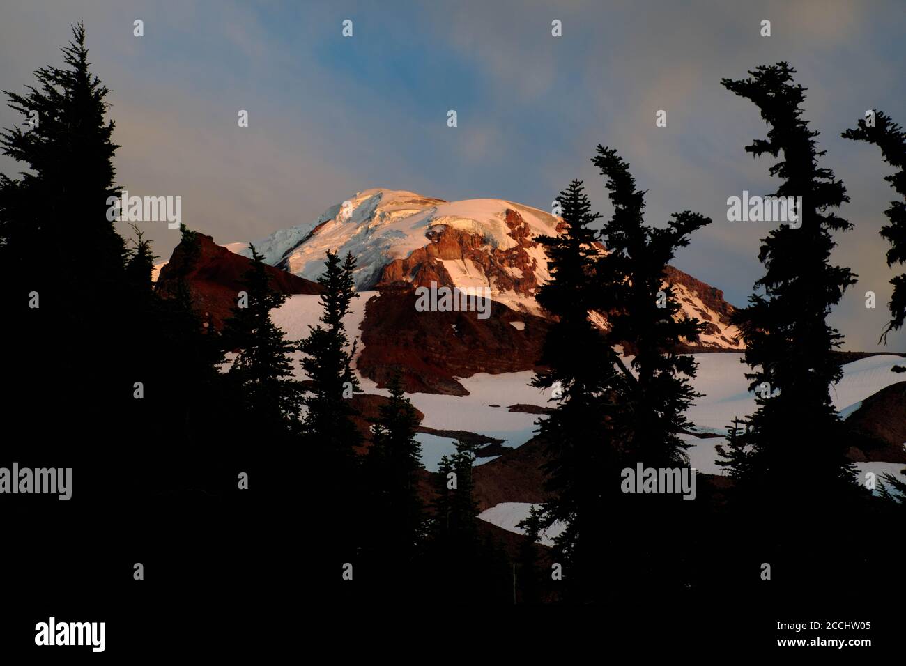 Mount Rainier incorniciato da abeti subalpini nei prati di Spray Park, Mount Rainier National Park, Washington state, USA Foto Stock