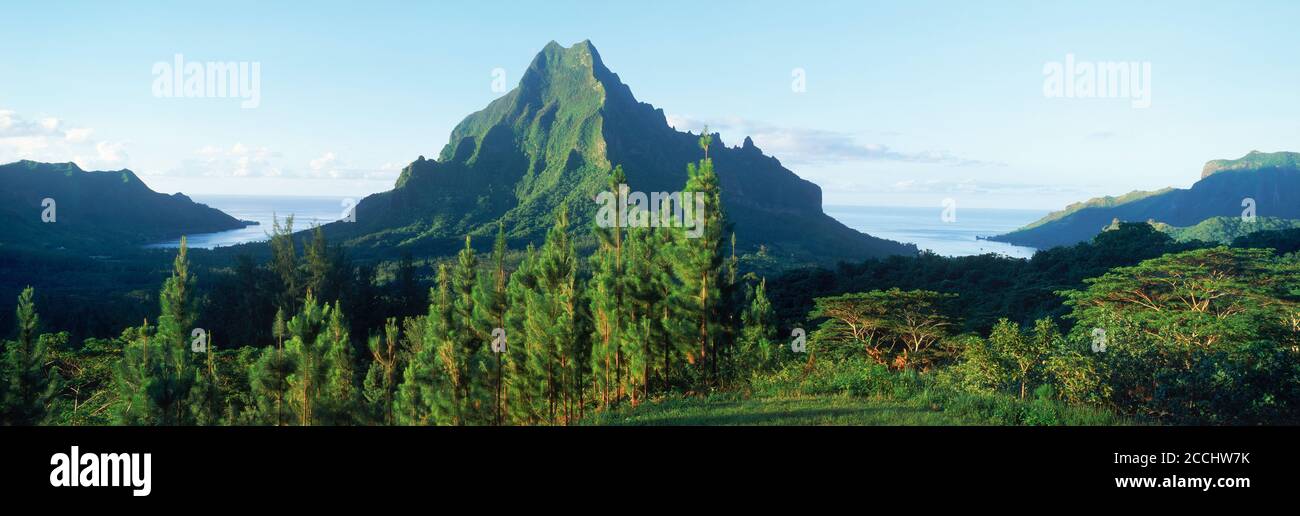 Immagine panoramica del picco di Mouaroa sopra la Baia di Opunohu su Moorea Isola in Polinesia francese Foto Stock