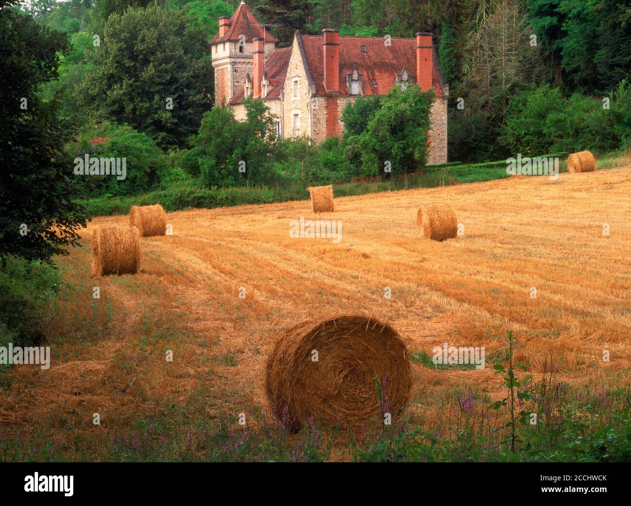 Rotoli di fieno sulla fattoria di Dardogne con il vecchio castello come casa colonica Foto Stock