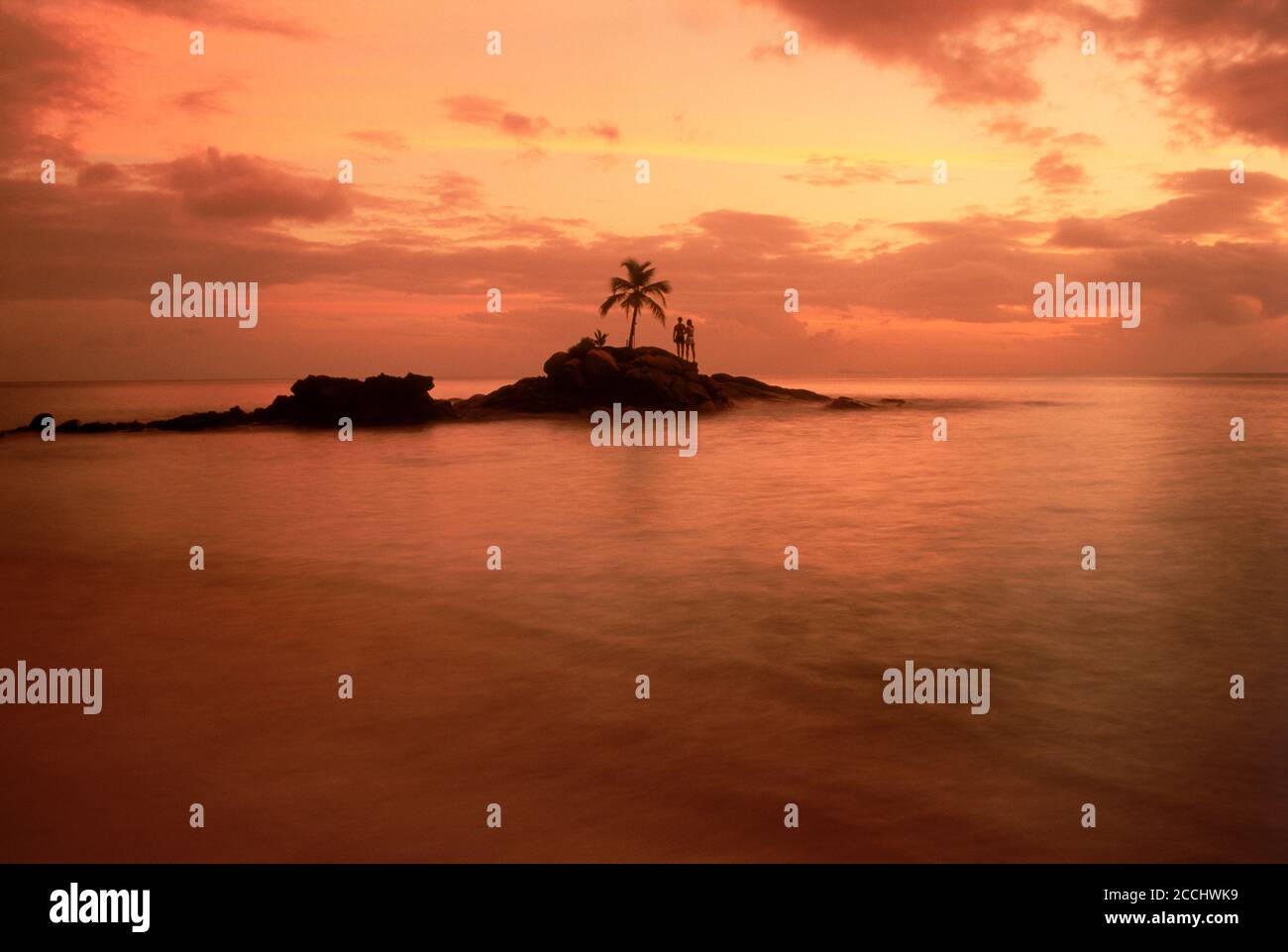 Giovane su rocky point con un Palm tree off Mahe Island in Seychelles al tramonto Foto Stock