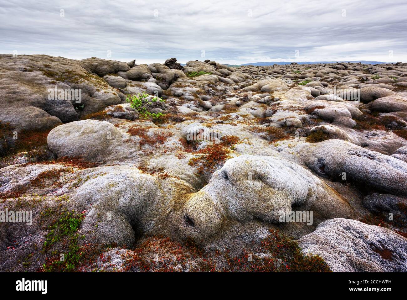 Paesaggio islandese con campo di lava coperto di muschio marrone Eldhraun da eruzione vulcanica e cielo nuvoloso Foto Stock