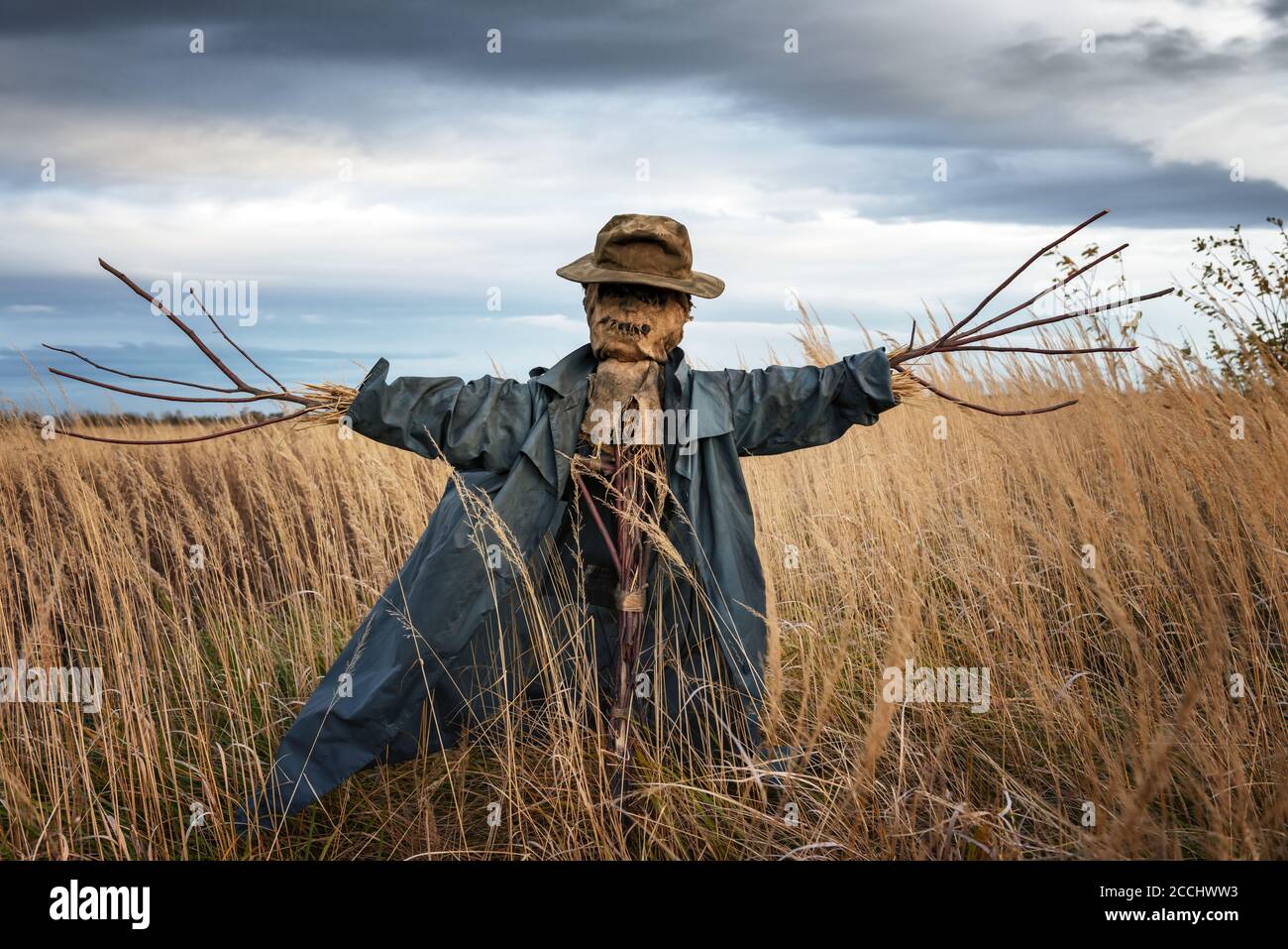 Terribile scarecrow in nero mantello si erge da solo in un campo autunnale. Concetto di Halloween Foto Stock