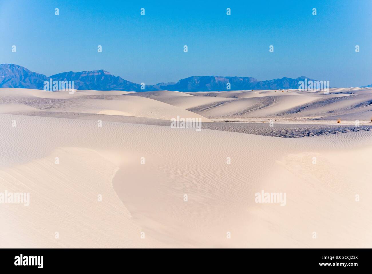 Dune di sabbia al White Sands National Park nel New Mexico in una fredda mattina di febbraio. Estremità settentrionale del deserto del Chihuahuan. Foto Stock