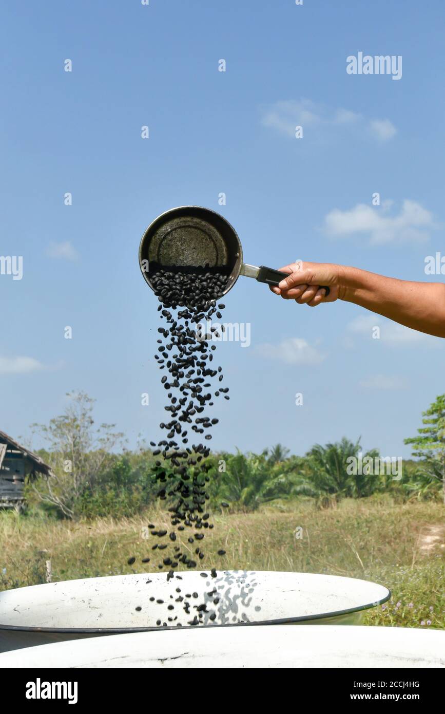 Una donna anziana asiatica arrostire i chicchi di caffè in modo tradizionale. Mettere a fuoco la paletta argentata. Foto Stock