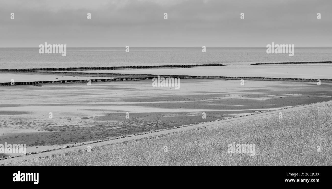 Tideland al parco nazionale wadden mare, Frisia settentrionale, Schleswig-Holstein, Germania, Europa Foto Stock