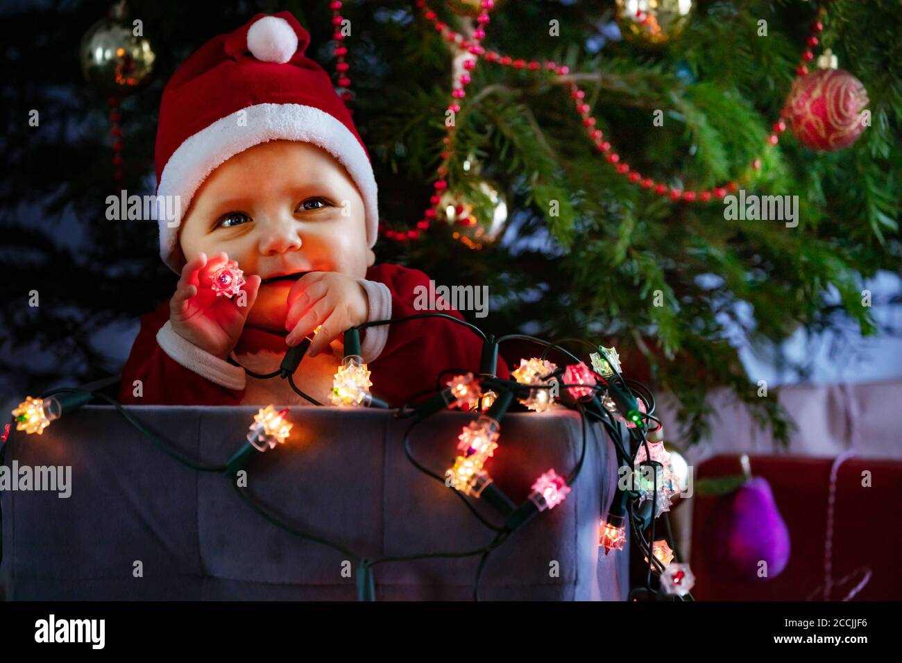 Piccolo bambino carino nel cappello di Babbo Natale che tiene illuminato Lampade sedute in scatola sotto l'albero di Natale con un bel look Foto Stock